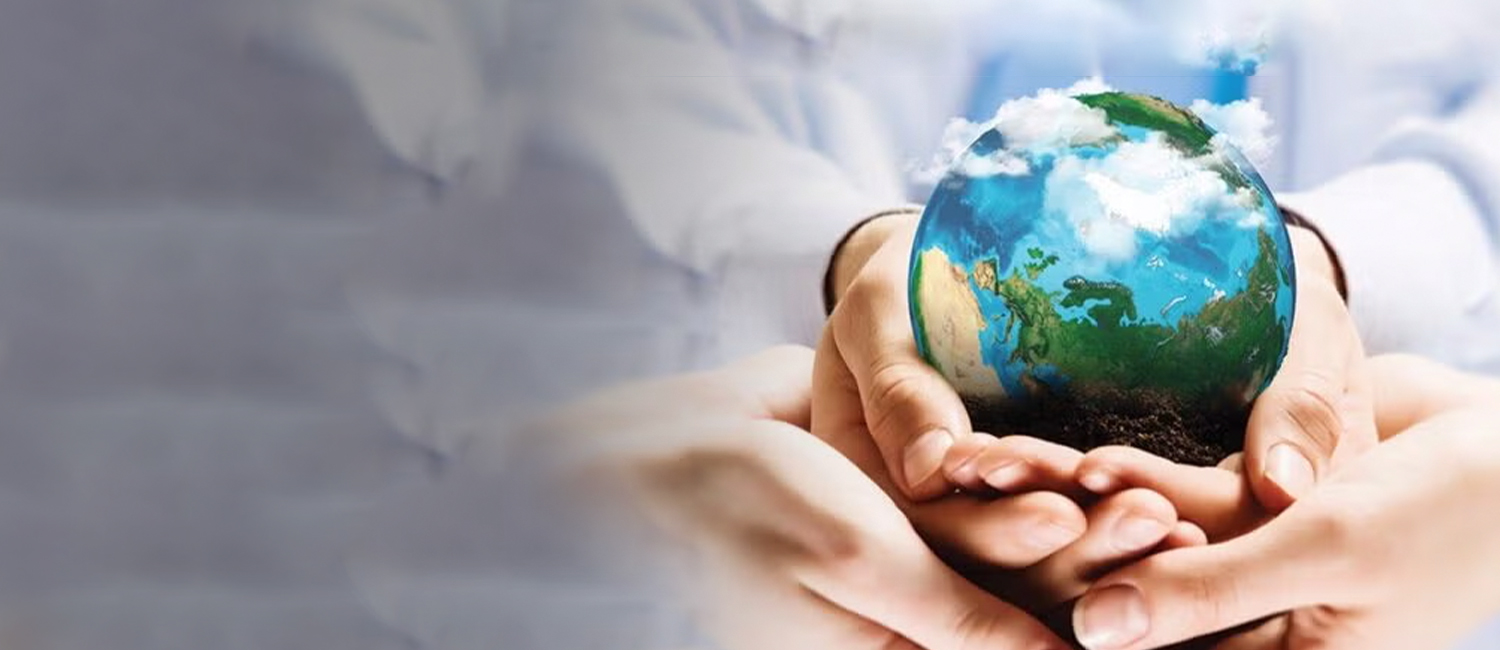 Environmental Consultancy Services