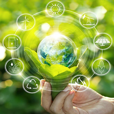 Environmental Consultancy Services Provider in subdomain